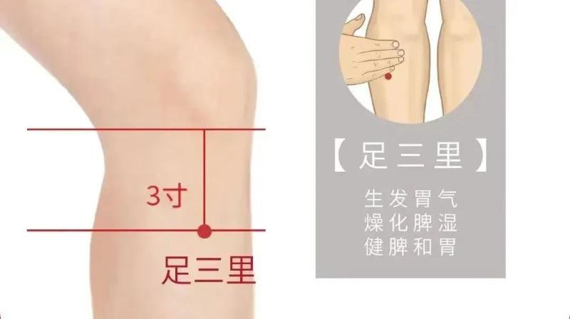 微信图片_2025-08-15_100118_238.jpg